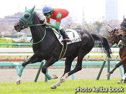 カラープリント(アルミ枠なし)2016年4月10日中山4R 3歳未勝利(ラペルトワ)