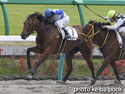 カラープリント(アルミ枠付き)2016年4月10日中山6R 3歳500万下(アルセナーレ)