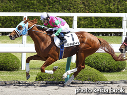 カラープリント(アルミ枠なし)2016年4月16日阪神3R 3歳未勝利(バトルハルトマン)