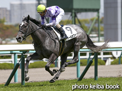 カラープリント(アルミ枠なし)2016年4月16日阪神5R 3歳未勝利(クールゼファー)