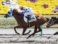 カラーパネル2016年4月16日福島3R 3歳未勝利(オリエンタルイギー)