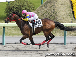 カラープリント(アルミ枠なし)2016年4月16日福島7R 4歳上500万下(セトアロー)