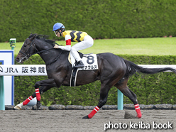 カラーパネル2016年4月17日阪神2R 3歳未勝利(ピナクルズ)