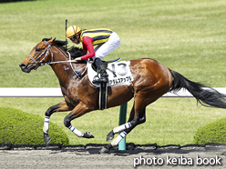 カラープリント(アルミ枠付き)2016年4月17日阪神8R 4歳上500万下(アダムズアップル)