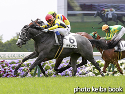 カラープリント(アルミ枠なし)2016年4月23日京都5R 3歳未勝利(テラノヴァ)