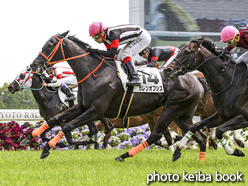 カラーパネル2016年4月23日京都7R 4歳上500万下(カレンオプシス)