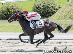 カラープリント(アルミ枠なし)2016年4月23日福島3R 3歳未勝利(フォルテミノル)