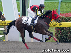 カラープリント(アルミ枠付き)2016年4月24日東京1R 3歳未勝利(オージャイト)