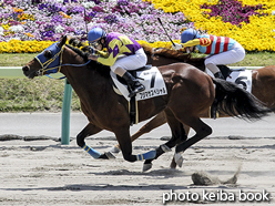 カラープリント(アルミ枠なし)2016年4月24日福島3R 3歳未勝利(フジマサスペシャル)