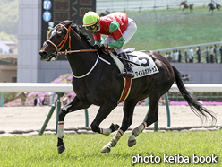 カラープリント(アルミ枠付き)2016年4月24日福島4R 障害未勝利(マイネルポルトゥス)