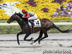 カラーパネル2016年4月24日福島7R 4歳上500万下(コスモカウピリ)