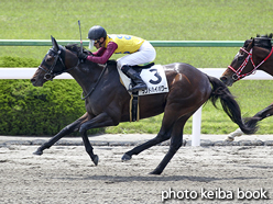 カラープリント(アルミ枠付き)2016年4月30日京都2R 3歳未勝利(ランドハイパワー)