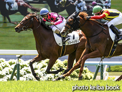 カラープリント(アルミ枠なし)2016年4月30日京都4R 3歳未勝利(スマートシモーヌ)