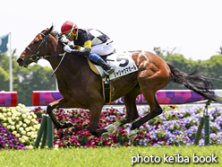 カラープリント(アルミ枠なし)2016年4月30日京都5R 3歳未勝利(ジャジャウマガール)