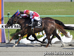 カラーパネル2016年4月30日京都11R 天王山ステークス(ニシケンモノノフ)