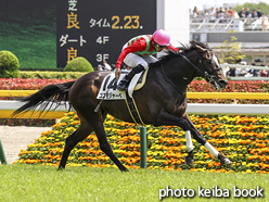 カラーパネル2016年4月30日東京5R 3歳未勝利(コスモジャーベ)