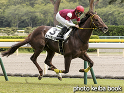 カラープリント(アルミ枠なし)2016年4月30日新潟6R 3歳未勝利(ルナーランダー)