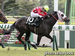 カラーパネル2016年4月30日新潟10R ゆきつばき賞(ブロワ)