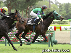 カラープリント(アルミ枠付き)2016年4月30日新潟12R 二王子特別(パリカラノテガミ)