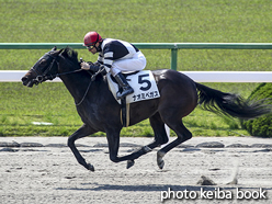 カラープリント(アルミ枠付き)2016年5月1日京都1R 3歳未勝利(ナオミベガス)