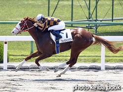 カラーパネル2016年5月1日京都3R 3歳未勝利(フェイスインパクト)