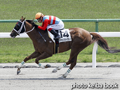 カラープリント(アルミ枠付き)2016年5月1日京都6R 4歳上500万下(タマモユウトウセイ)