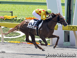 カラーパネル2016年5月1日東京1R 3歳未勝利(ジイサマ)