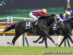 カラーパネル2016年5月1日東京10R 晩春ステークス(テルメディカラカラ)