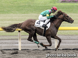 カラーパネル2016年5月1日新潟3R 3歳未勝利(タガノアーバニティ)