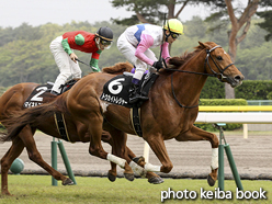 カラーパネル2016年5月1日新潟10R 荒川峡特別(トウカイトレジャー)