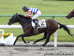 カラーパネル2016年5月7日京都3R 3歳未勝利(プログレスシチー)