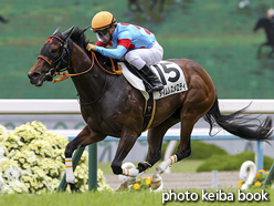 カラーパネル2016年5月7日京都4R 3歳未勝利(タイムレスメロディ)