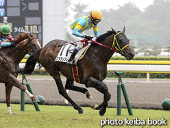 カラープリント(アルミ枠付き)2016年5月7日新潟1R 障害未勝利(クラウンフレイム)