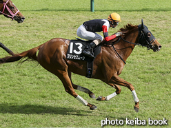 カラープリント(アルミ枠なし)2016年5月7日新潟11R 駿風ステークス(プリンセスムーン)