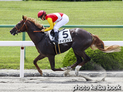 カラープリント(アルミ枠なし)2016年5月8日京都2R 3歳未勝利(ナイスワン)