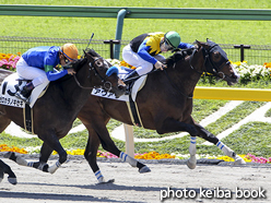 カラープリント(アルミ枠なし)2016年5月8日東京1R 3歳未勝利(アウアウ)