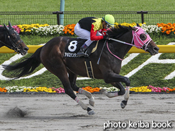 カラーパネル2016年5月8日東京10R ブリリアントステークス(アポロケンタッキー)