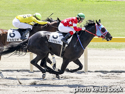 カラーパネル2016年5月8日新潟3R 3歳未勝利(レッドジェイド)