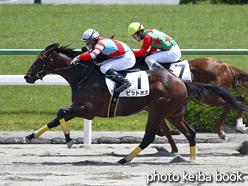 カラープリント(アルミ枠なし)2016年5月14日京都6R 3歳500万下(ピットボス)