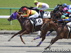 カラープリント(アルミ枠なし)2016年5月14日京都8R 4歳上500万下(ミトノゴールド)