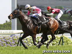 カラープリント(アルミ枠なし)2016年5月14日京都10R 錦ステークス(ダイシンサンダー)