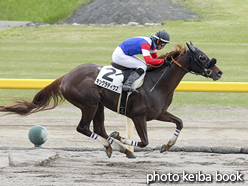 カラーパネル2016年5月14日新潟2R 3歳未勝利(キングラディウス)