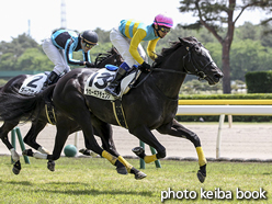 カラープリント(アルミ枠なし)2016年5月14日新潟4R 障害未勝利(ラガーギアチェンジ)