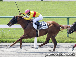 カラープリント(アルミ枠付き)2016年5月15日京都1R 3歳未勝利(コパノマイケル)