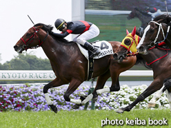 カラーパネル2016年5月15日京都8R 4歳上500万下(リーサルストライク)