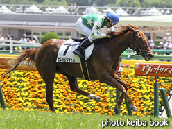 カラーパネル2016年5月15日東京4R 3歳未勝利(ビレッジシャトル)