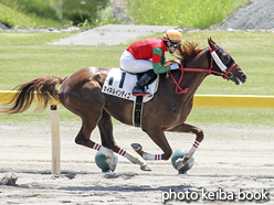 カラープリント(アルミ枠なし)2016年5月15日新潟3R 3歳未勝利(マイネルインディゴ)