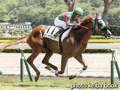 カラープリント(アルミ枠なし)2016年5月15日新潟5R 3歳未勝利(ミエノサクシード)