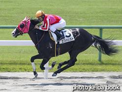 カラープリント(アルミ枠なし)2016年5月21日京都3R 3歳未勝利(エフハリスト)