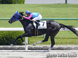 カラープリント(アルミ枠なし)2016年5月21日京都7R 4歳上500万下(ウォーターフレアー)